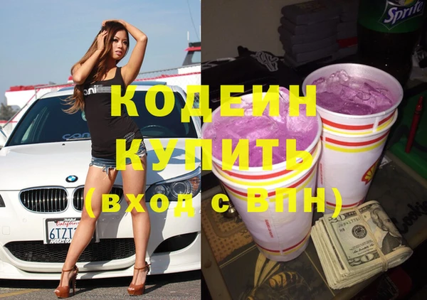 прущие грибы Вязьма