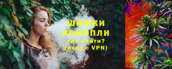 прущие грибы Вязьма