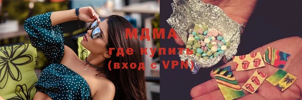 гашик Вяземский