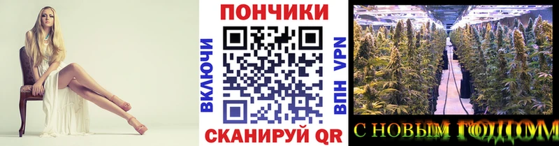 Конопля индика Сорочинск